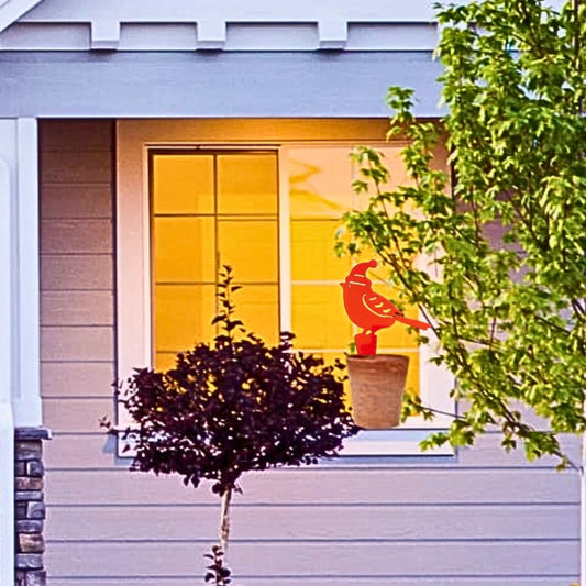 Red Cardinal
