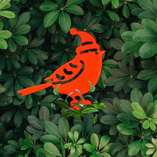 Red Cardinal
